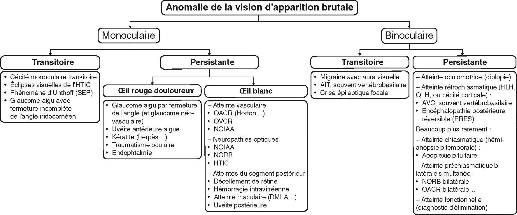 Guide diagnostique des pertes visuelles brutales selon latéralité et durée. Différencie causes ophtalmiques, neurologiques et vasculaires fréquentes.