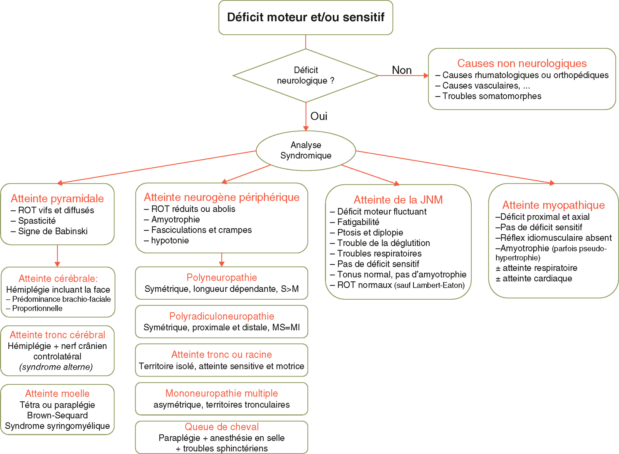 Algorithme d’analyse d’un déficit moteur ou sensitif en cinq types neurologiques Identification de l’origine selon des critères cliniques précis.