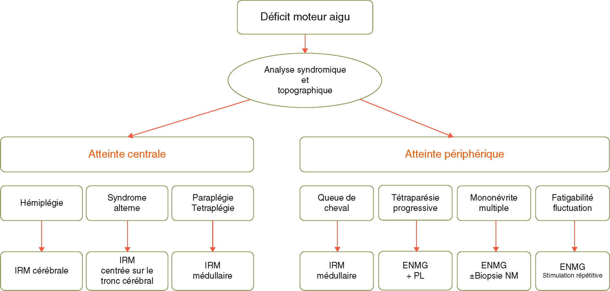 Schéma diagnostique d’un déficit moteur aigu, distinguant atteintes centrales et périphériques avec examens adaptés selon le tableau clinique.
