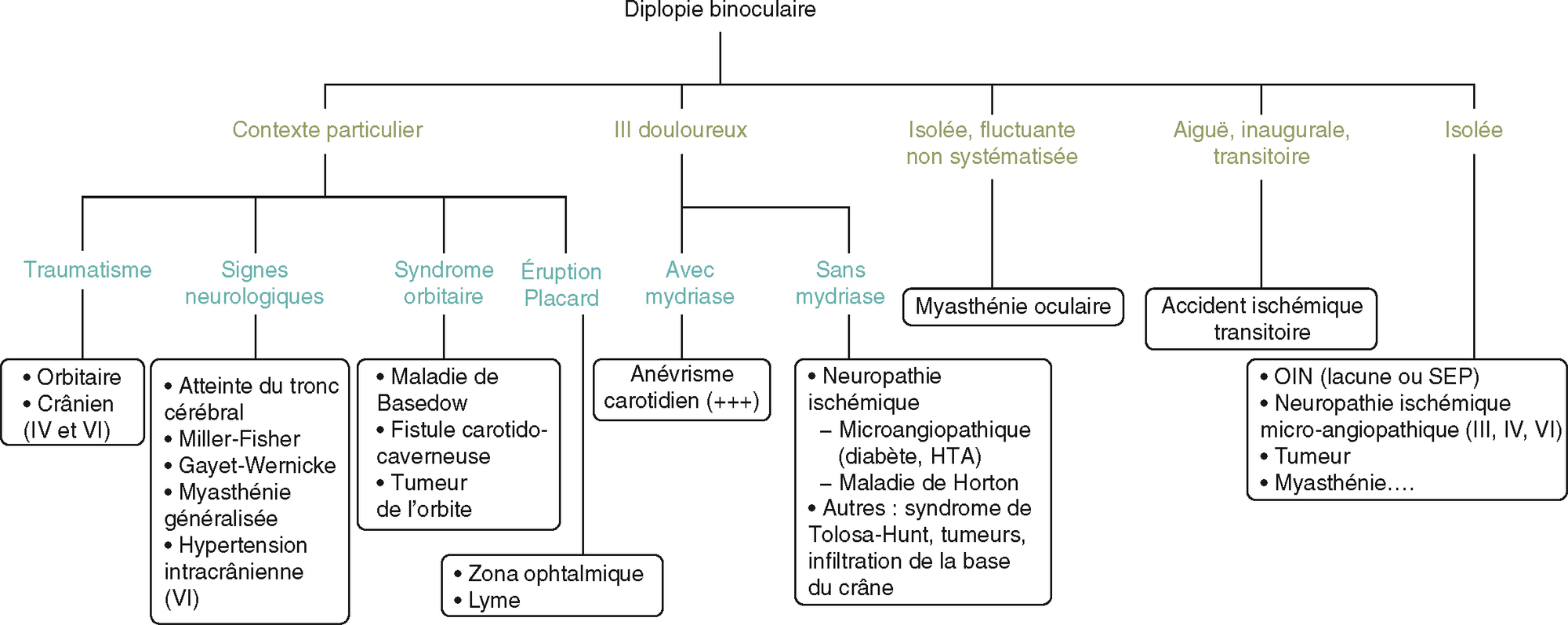 L'image présente un arbre décisionnel pour la diplopie binoculaire, classée par contexte et symptômes : traumatisme, signes neurologiques, atteintes du nerf III, myasthénie, etc.