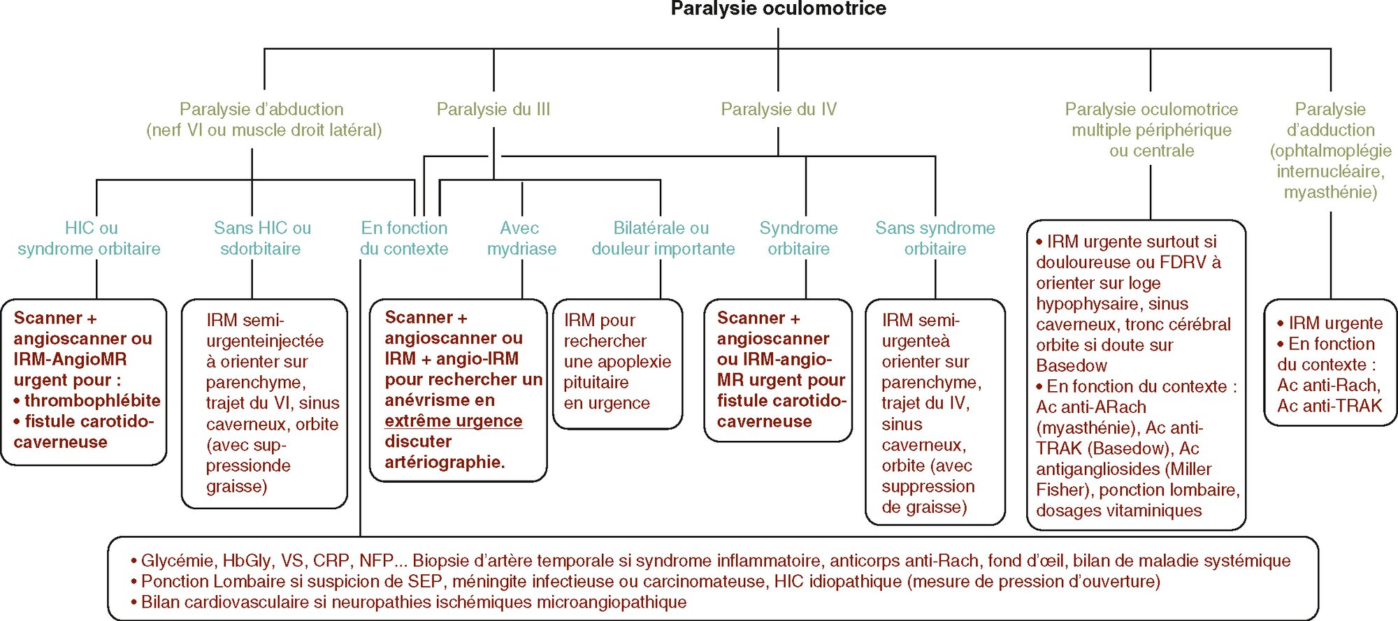 Le bilan de paralysie oculomotrice inclut des examens comme l'IRM ou scanner, la ponction lombaire, tests myasthénie, et bilans cardiovasculaire et inflammatoire selon la paralysie.