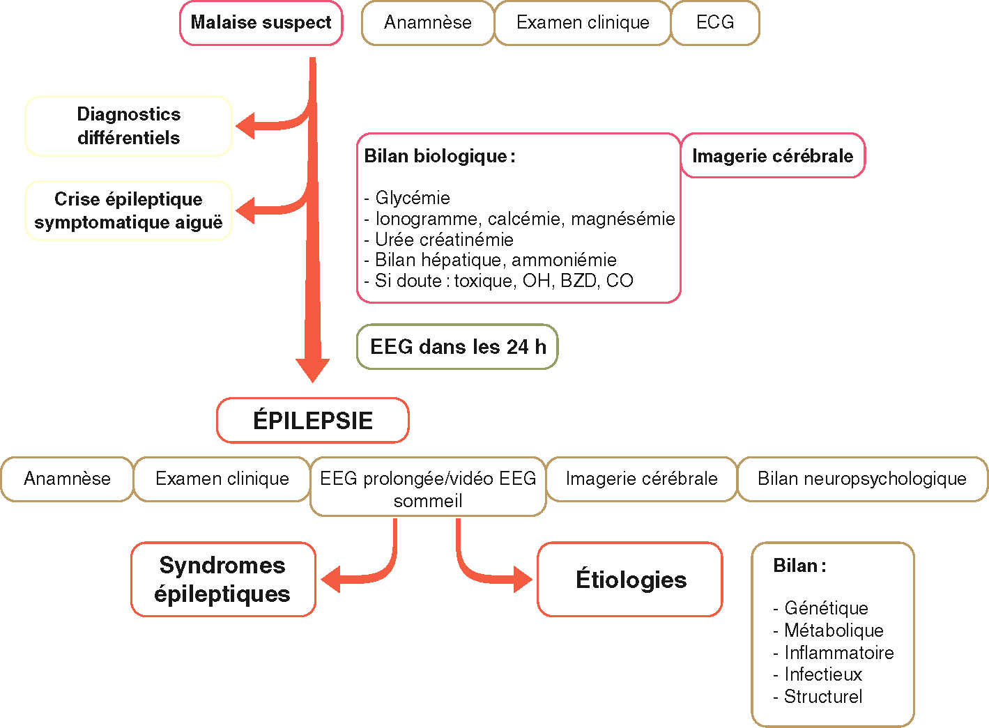 Le diagnostic d’épilepsie implique une anamnèse, un ECG, un bilan biologique, un EEG, une imagerie cérébrale, et l’identification des étiologies et syndromes épileptiques.
