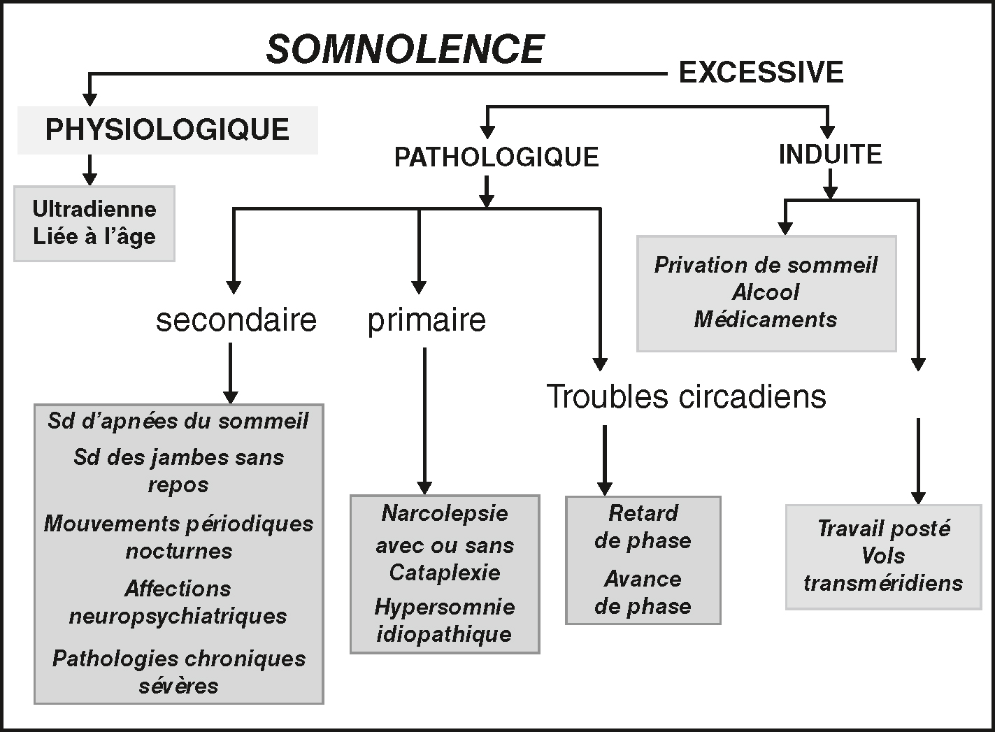 L'image présente les causes de la somnolence diurne : physiologique, pathologique (secondaire et primaire), et induite (privations de sommeil, médicaments, troubles circadiens).