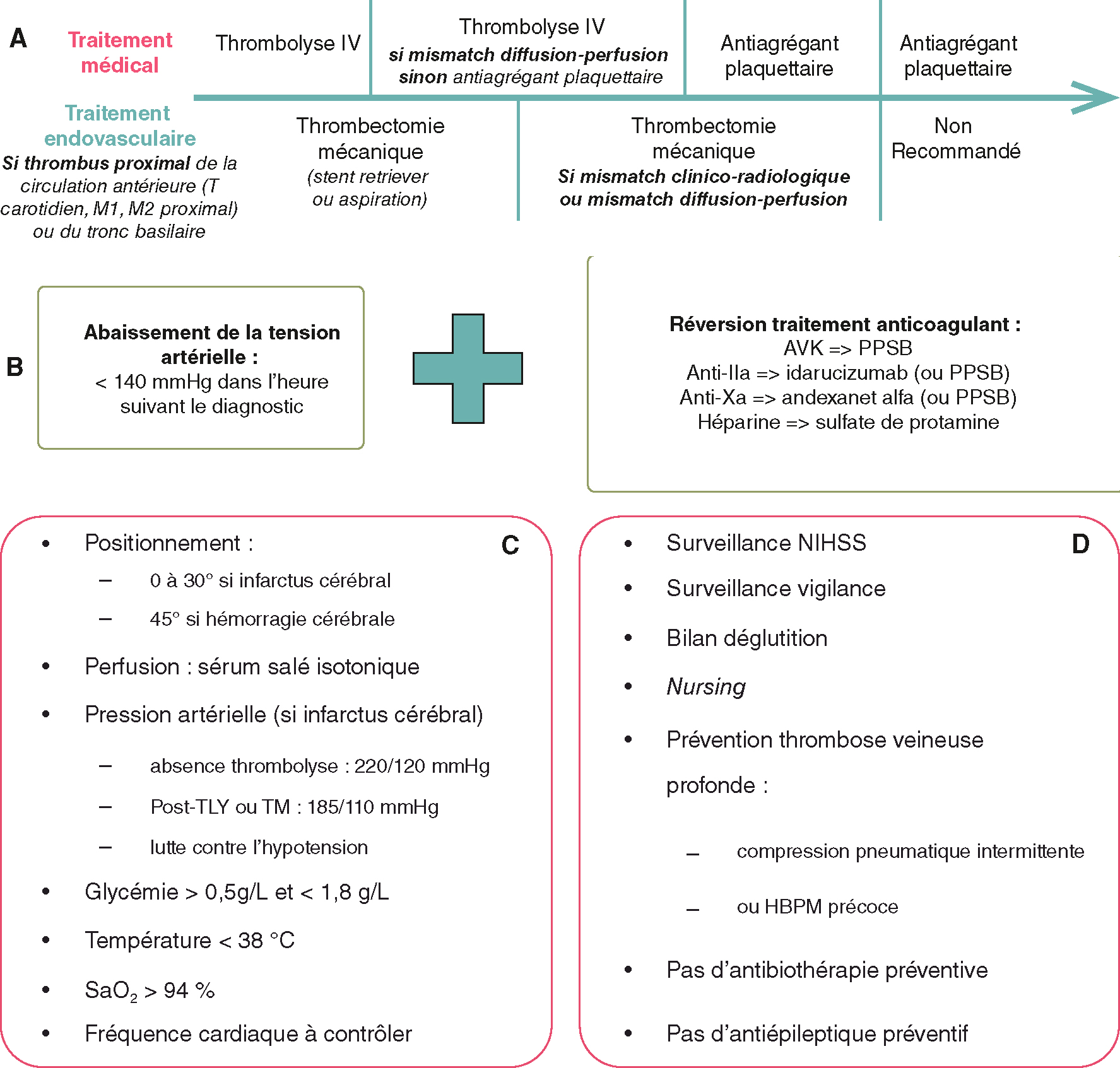 L'image présente un AVC avec hémiplégie gauche et hémianopsie, où les scans montrent un mismatch clinico-radiologique. L'angiographie révèle une occlusion de l'artère sylvienne droite.
